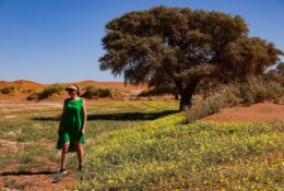 Namibia_April_2025 (47/79)